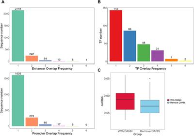 TF-EPI: an interpretable enhancer-promoter interaction detection method based on Transformer